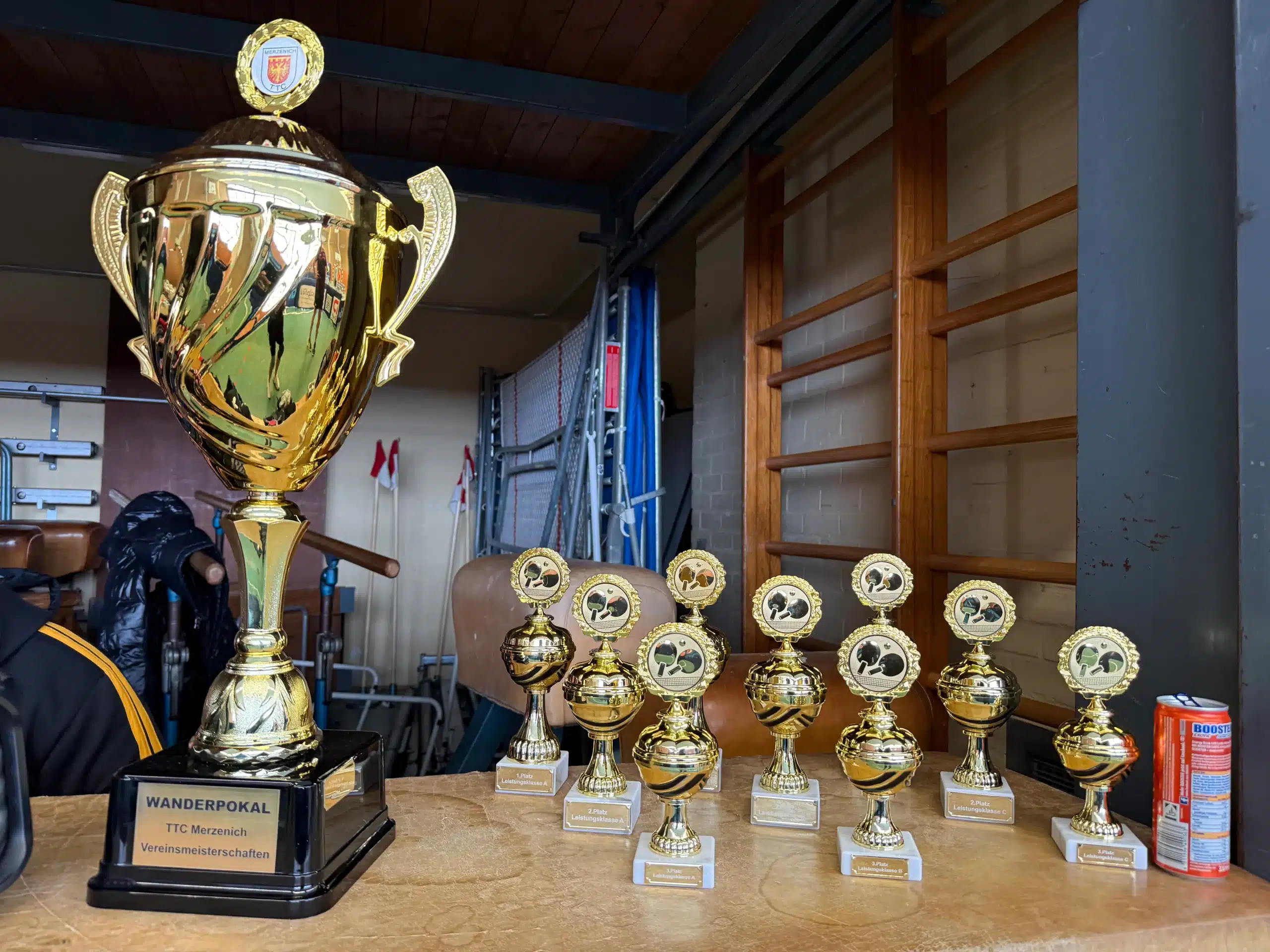 TTC Merzenich Tischtennisverein Düren WTTV